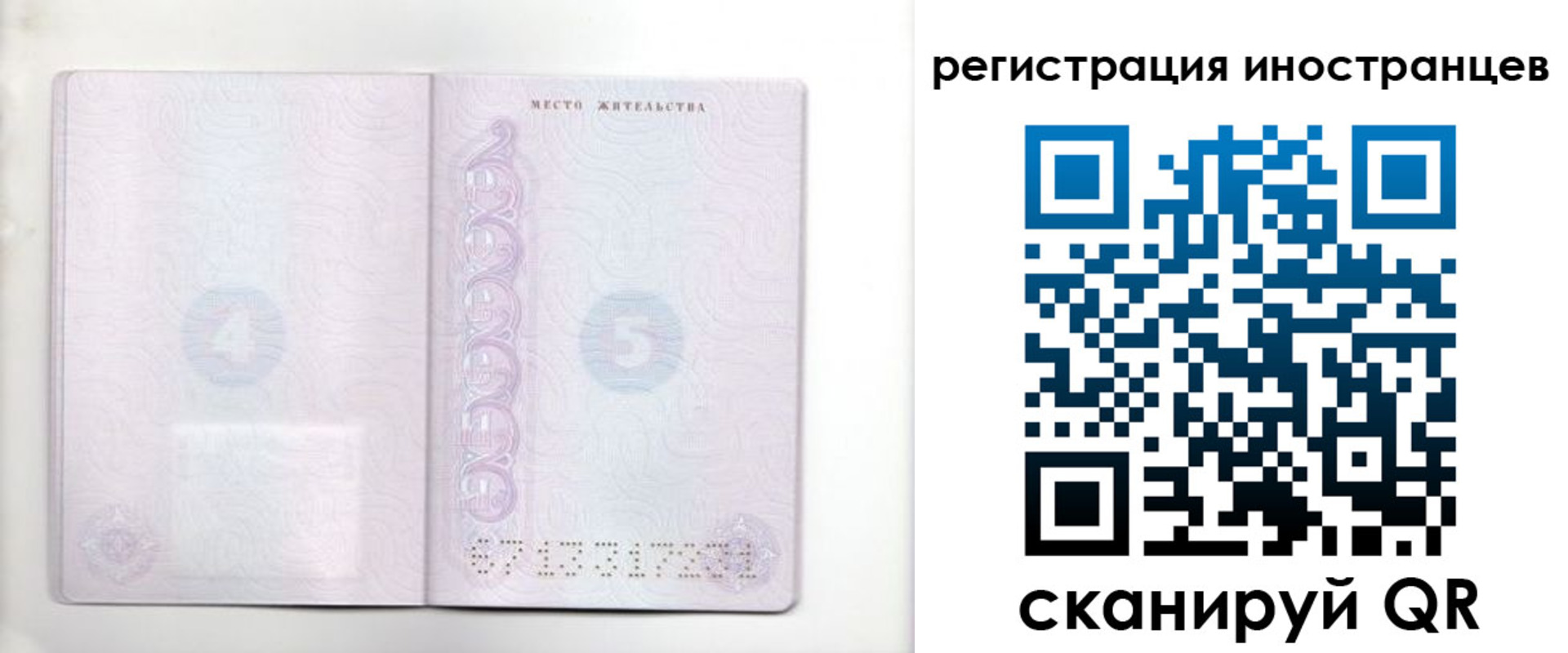 временная регистрация в Лесном
